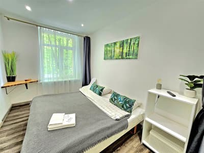 S11 Lime studio apartment