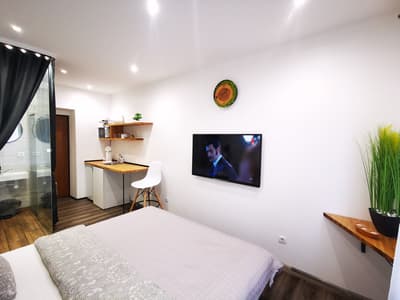 S11 Lime studio apartment