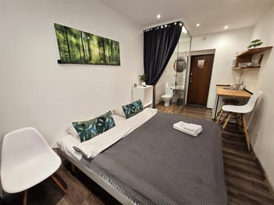 S11 Lime studio apartment