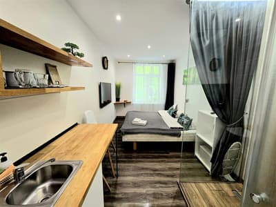 S11 Lime studio apartment