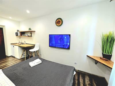 S11 Lime studio apartment