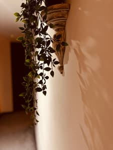 Woodbury Two-1, 'for an industrial haven in the city'