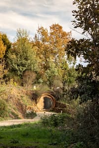 The Hobbit House at Casa Florestal Fatela