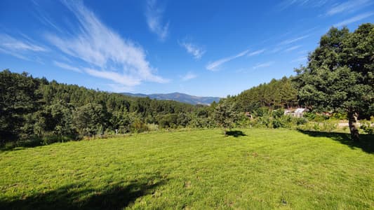 The Cabin II at Casa Florestal