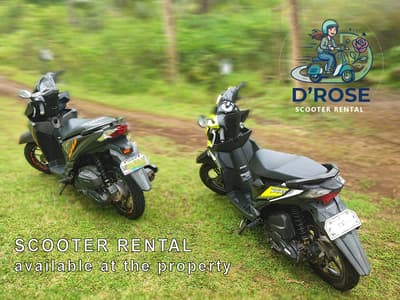 Eco-friendly Garden View Room