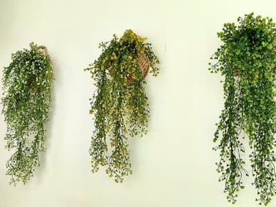 The Floral Penthouse @ Golden Hills Cameron Highlands