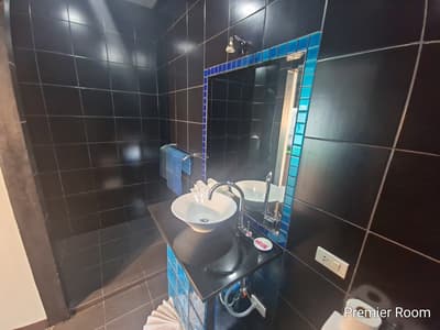 Premiere Room - with terrace and Spa Bath