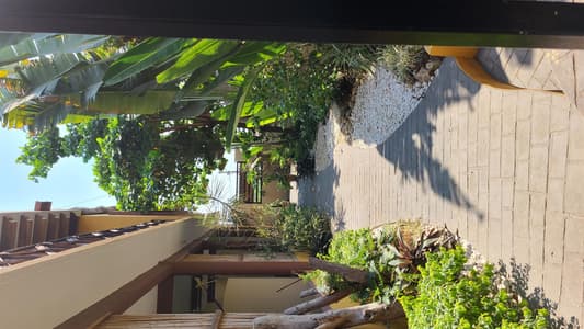 Studio Apartment #5 cerca Playa Zicatela