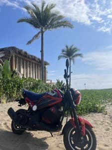 Premium Scooter Rental 1 Day (WSPORT GRIS A )