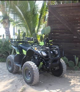 ATV 1 Day Rental (WHITE ) ( B)