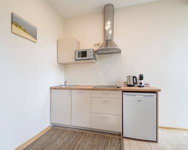 Dviejų kambarių apartamentai (maks.4 asm.)