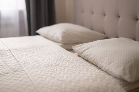 Vieno kambario apartamentai  su vaizdu į kiemą (maks.2 asm.)