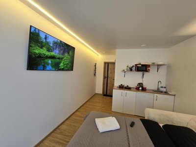 T1 Bamboo apartment