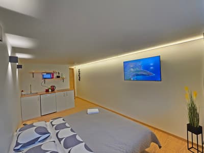 T6 Studio apartment