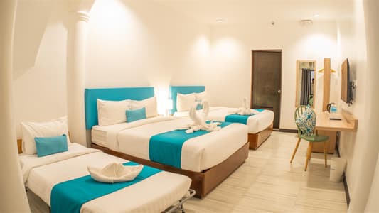 Elite room with Breakfast