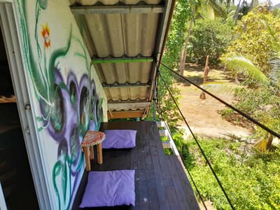 Bird's Nest (Mini Room)