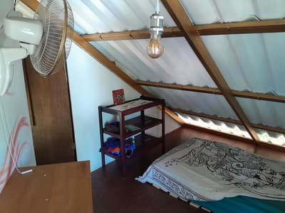 Bird's Nest (Mini Room)
