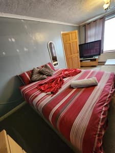 The Rushdon 1 - King