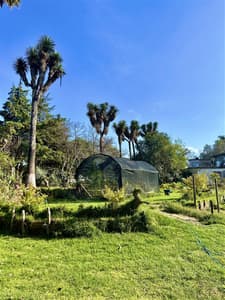 Enredadera - Las Palmas By GEstores