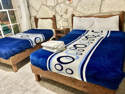 Colibrí - Las palmas By GEstores