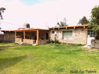 Gatos - Las Palmas By GEstores