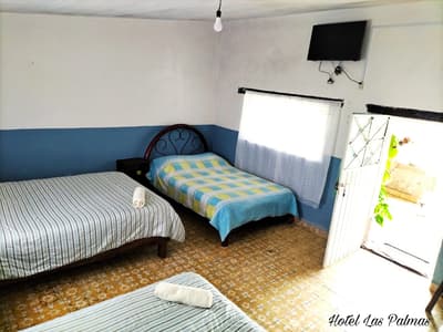 Habitación Palmas - Las Palmas By GEstores