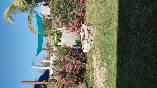 Salt Life Cabana #3