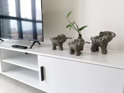 IC Choppins	T2-22-03