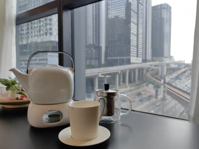 BTC Panoramic E-07-21