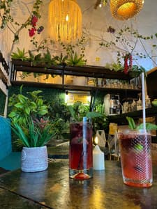 Rent the Entire La Antigua Cápsula Hostel in Getsemaní, Cartagena- Alquila el Hostal La Antigua Cápsula Completo