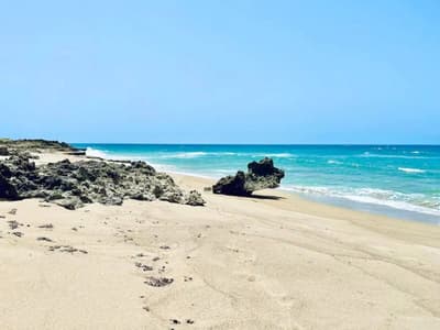 A1-Spacious 2-Bedroom Apartment with Pool View (A1)