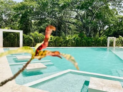 A1-Spacious 2-Bedroom Apartment with Pool View (A1)