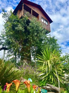 Casita del Arbol Trini By GEstores