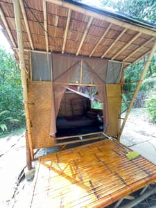 Jungle Hut
