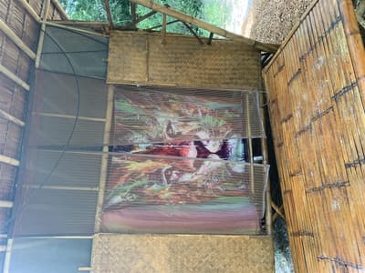 Jungle Hut