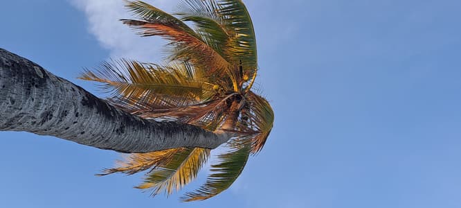 Mwendokasi: Double room 2nd floor with private balcony, seaview