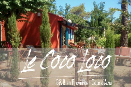 Le Coco Loco - chambre NICE - lit simple superposé 90x200 cm Le Luc