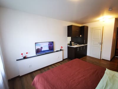 Z17 River apartment studio