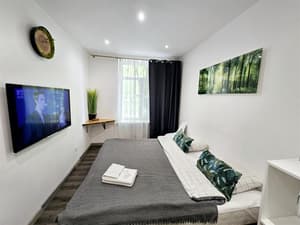 S11 Lime studio apartment