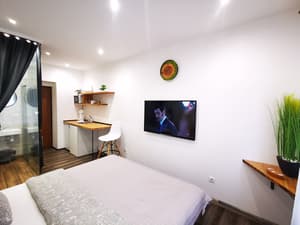 S11 Lime studio apartment
