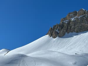 Génépis 9
