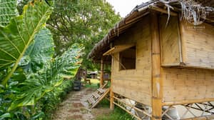 [B3] Bamboo Hut With Shared Bathroom