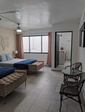 R5 · Hab Doble Decorada Hermosamente / Amplio Baño / Gran Ventanal Oaxaca de Juárez