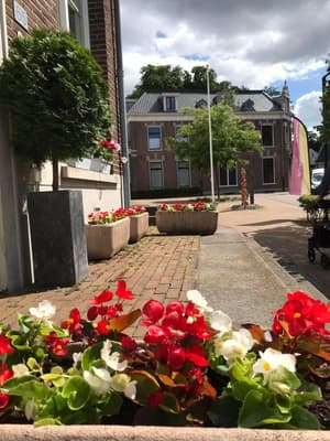 B&B Bij Arjan