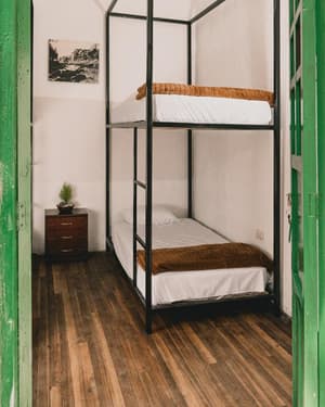 Cama 3.3