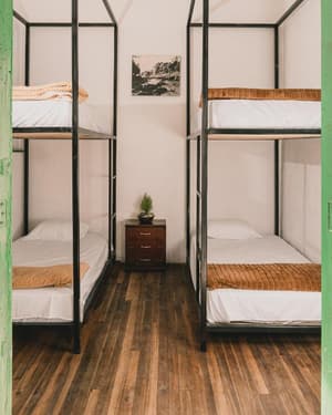 Cama 3.3