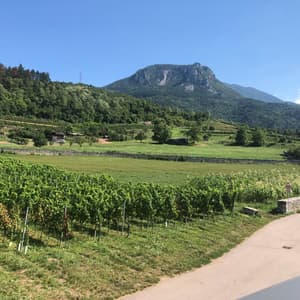 App5 · Armonia tra natura ed eleganza Trento