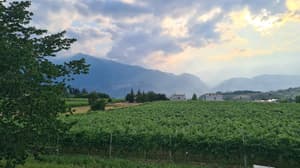 App2 · Agritur La Tenuta - Appartamenti Trento