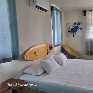 Iguana King Suite