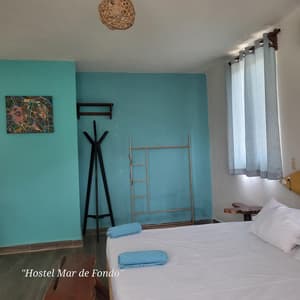 Iguana King Suite